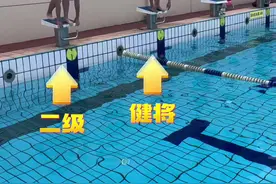 蛙泳视频 《成人线下进修班》国家级老健将vs二级运动员！蛙泳是效率重要还是频率重要？#游泳 #运动 #日常训练 #蛙泳 #体育