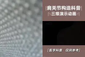 和  一起 #合拍  锁骨关节韧带 与 肩部肌肉