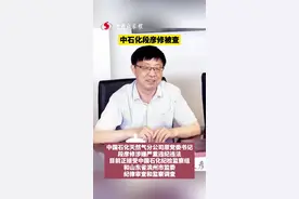 中石化段彦修被查！视频封面