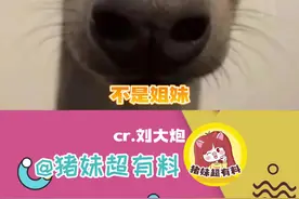 不是！有没有人来解答一下啊～#情侣 #瘦子 #内容过于真实