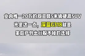 业内唯一20万呢idea双叉臂5米级硬派SUV，光是这一点，深蓝G318就是家庭户外出行躲不掉的选择#深蓝G318 #20万方盒子车型怎么选视频封面