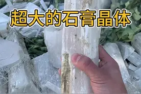 超大的石膏晶体 超大的石膏晶体，纤维石膏#石膏 #矿物 #矿物晶体 #科普 #石头