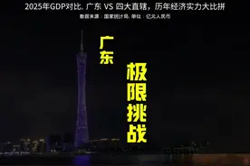 #内容启发搜索 2025GDP对比