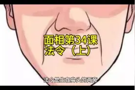 面相第34课——法令（上）#国学文化 #面相 #命运 #风水玄学视频封面