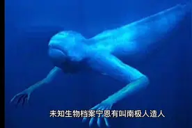 第一次做未知生物档案视频封面