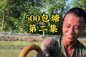 500元包塘第二集，这次是捡到耙货了#真实户外 #户外抓黄鳝 #康娃抓鳝鱼视频封面