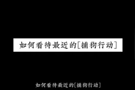 人永远比动物重要！#养狗人呼吁别一棒子打死所有 #文明养狗视频封面
