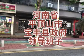 河南省平顶山市宝丰县人民政府领导班子 #河南 #平顶山 #宝丰视频封面