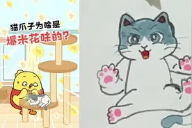 #简笔画 #猫爪子为什么是爆米花味