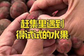 来云南赶集，如果遇到这些水果，那都可以试试。#赶集 #水果 #云南旅游