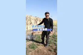 详细版定点大小便，从此告别乱拉乱尿#训犬 #狗狗乱拉乱尿怎么训 #怎么训练狗狗在家上厕所 #狗狗训练技巧 #狗狗