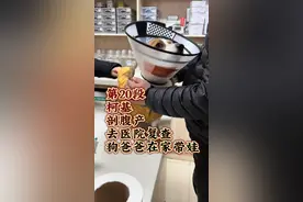 #生狗狗过程 #受伤小狗 #萌宠日常记录 #不养狗不知道养狗的乐趣 #绝育视频封面