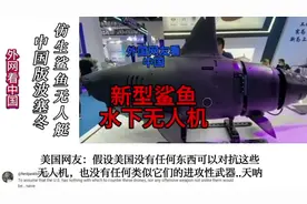 外国网友看中国新型水下鲨鱼无人艇。网友：又是从哪复制的
