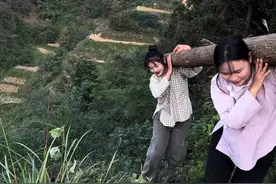 今天在山上挑柴 碰到一群叔叔们扛杉树，无论多大的树全部都是用肩膀扛，陡峭的山路沉重的杉木，和姐姐尝试扛了一根，特别累，生活哪有什么岁月静好，不过是有人替你负重前行@DOU+上热门 @DOU+小助手 #我的乡村生活 #2024新农人计划 #大山的孩子视频封面