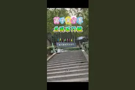 兰溪石门槛，一个天天能爆篮的神奇位置！大家记的收藏哦！#枞树菌 #上山采蘑菇 #野生菌 #又到了吃枞树菌的季节 #捡菌子视频封面