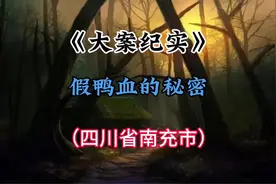 第30集｜四川省南充市：假鸭血的秘密#大案纪实 #真实事件