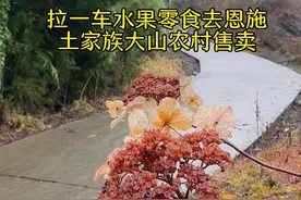 恩施土家卖货郎 第121集 | 拉一车水果零食去恩施土家族大山农村售卖，一天能赚多少钱，每年年尾的这几天是最忙的，大脑压根跟不上#大山里的生活 #记录真实生活 #我的乡村生活 #卖货郎 #新农人计划2024视频封面