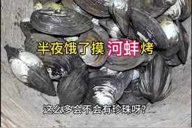 半夜饿了，起床河里摸河蚌烤来当夜宵，比生蚝扇贝都好吃的烤蚌壳你们吃过吗？#河蚌 #夜宵  #农村美食 #把家乡的味道分享给大家  #创作灵感