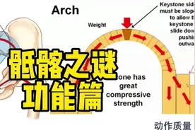 骶髂关节紊乱的真正原因是什么？为何骶骨上宽下窄？#运动康复