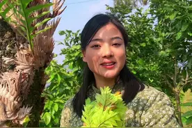 扒岩姜，又名骨碎补，既可入药，又可做菜，还能泡酒，今天，我来 做做看。#农村美食 #扒岩姜 #新农人计划2024 #乡村守护人