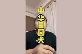 中华田园犬 田园生活的点缀，中华文化的瑰宝#中华田园犬#弃养不是人#名创优品 #别叫我土狗