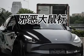 特斯拉邪恶大鼠标什么梗！#每天一个用车知识 #特斯拉modely视频封面