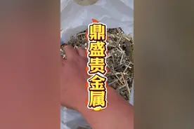 垃圾堆里也能捡漏#贵金属  #黄金提炼 #镀金废料回收