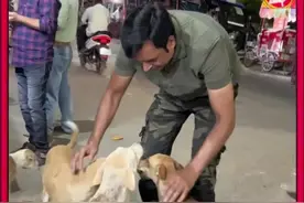 男人帮助一群饥饿的流浪狗 #善待动物关爱生命 #动物救助 #万物皆有灵性