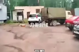#刀哥后续 #刀哥只是吓晕了视频封面