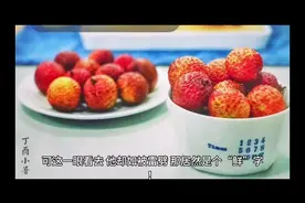 3.16陪你读《长安的荔枝》第四部分，内容接上个视频。