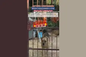 1月5日，云南（发布）狗子偷吃主人晾在外边的香肠，路过男子看见后向狗狗主人告状，狗狗不乐意了冲着男子吼叫#狗狗能有什么坏心思 #狗狗的心思都写在脸上了 #这操作也是没谁了😂😂视频封面
