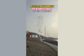 男子河边钓鱼抛竿触高压线瞬间倒地，全身冒烟！ 鱼竿线化作棉絮状#危险行为请勿模仿视频封面