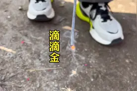 这个滴滴金放起来还有童年的味道#滴滴金 #莒县 #在莒一方