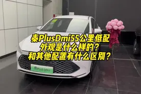 秦Plusdmi55公里最低配长什么样子？和其他配置有什么区别？
