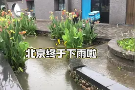 北京的天终于有了一丝寒意，昨天晚上狂风暴雨