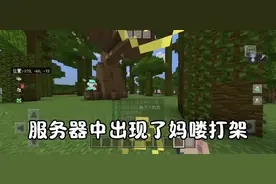 服务器惊现外挂，吓我一跳#我的世界 #我的世界服务器 #飘然不飘