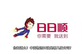 390：中国物流行业第二十五名—日日顺#物流运输 #物流园视频封面