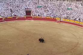 西班牙斗牛，最后很血腥，一场一共死了6头西班牙公牛#斗牛视频封面