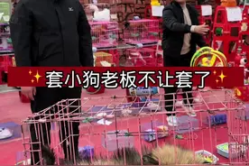 套圈老板把套小狗的规则又改了#高手在民间 #套圈 #意不意外 #意想不到的结局 #动物的迷惑行为视频封面