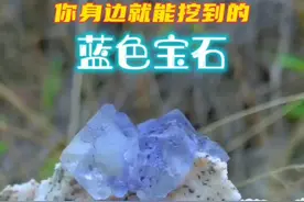 悄悄告诉你，在你家周边10公里以内，也有个花岗岩采石场，快点去，这个视频你邻居也看了！ #户外 #寻宝 #挖宝石 #矿物晶体 #捡石头视频封面