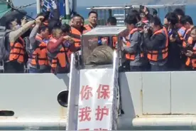 4月16日为斑海豹保护日，大连举行斑海豹放生仪式。#野生动物零距离 #斑海豹 #小海豹卖萌视频 #万物有灵 #大连圣亚海洋世界视频封面