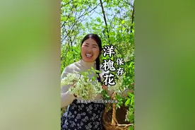 洋槐花保存 春天槐花的美丽与美味并存，但花期绽放是短暂的，如何将槐花保存一整年，随时享受春天的味道。#我的乡村生活 #农村美食 #槐花 #新农人计划2025视频封面