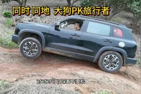 哈佛大狗2.0T双离合四驱VS旅行者2.0T双离合四驱  #哈弗大狗视频封面