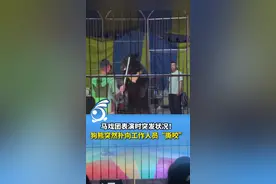 网传一马戏团表演时突发状况！狗熊突然扑向工作人员“撕咬”，当地警方介入调查。