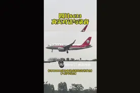 #英雄机长为什么会这么牛！事实是如果换个机长，也许就是另外一种结局！#四川8633中国机长#飞机 @抖音短视频视频封面