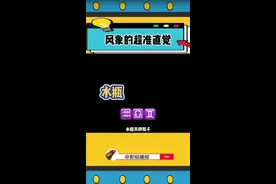 风象星座的直觉是真的准的离谱 #风象星座#风象#星座#娱乐评论大赏