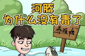 河豚为什么没有毒了#科普 #万万没想到 #动画 #动漫 #冷知识视频封面