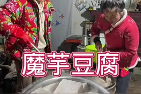 煮魔芋豆腐的比例：一斤魔芋两斤到两斤半水（注意如果喜欢吃老点的就放两斤水，如果喜欢吃嫩点的就放两斤半水）碱的比例是1000克魔芋放10克碱（注意碱要用热水化开）#记录我的农村生活 #魔芋豆腐 #怎样做魔芋 @抖音创作者中心 @DOU+小助手 @我要上热门