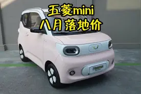 五菱MINI 2024款 马卡龙215km 磷酸铁锂八月最新落地价参考视频封面