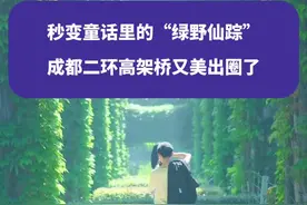 秒变童话里的“绿野仙踪”，成都二环高架桥又美出圈了#成都 #成都二环高架 #成都拍照打卡 #权威解读视频封面